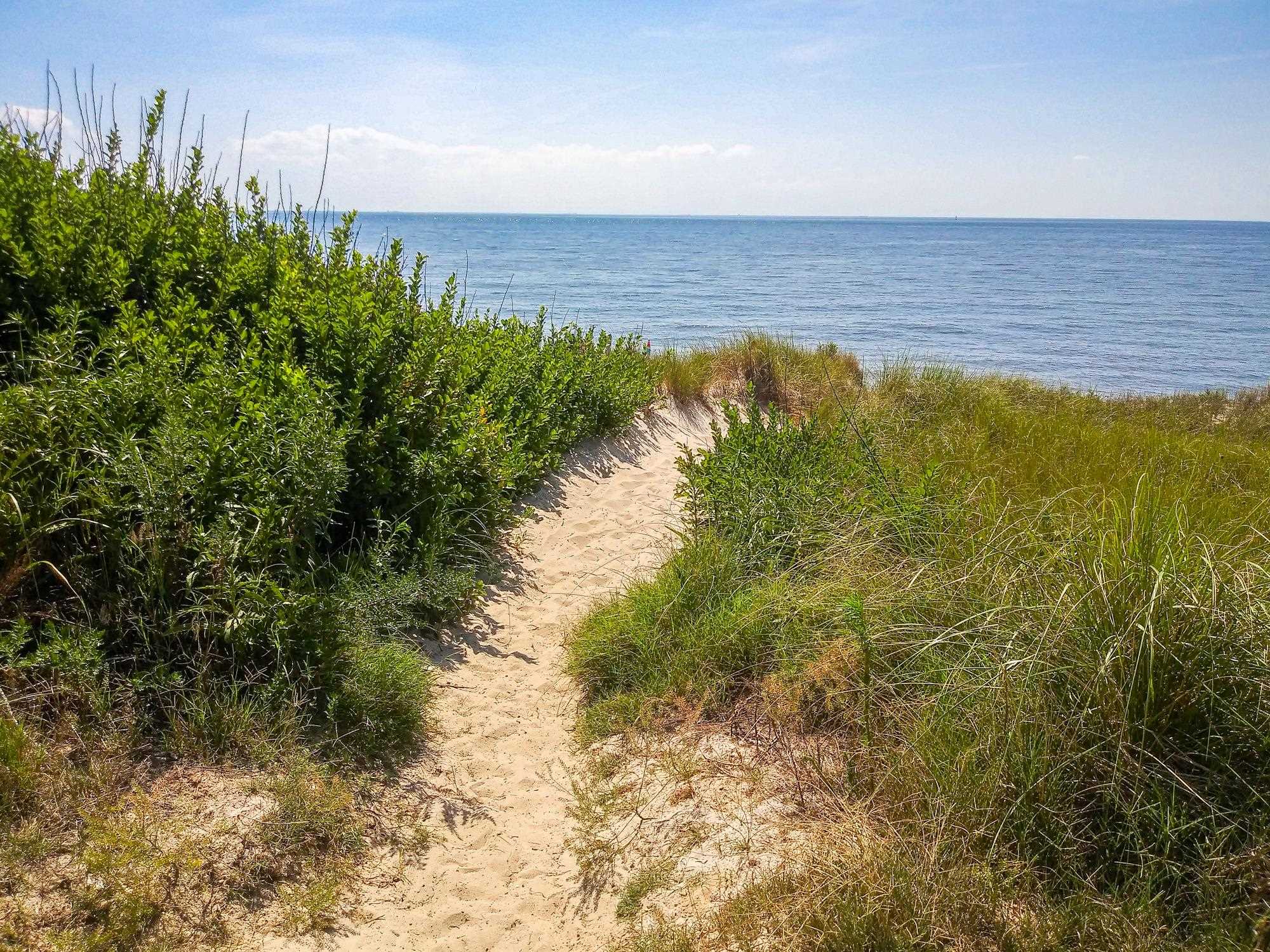 18 Cedarbrook Road Cape May, NJ 08204 - Photo 41 of 44 a view of an ocean from a beach