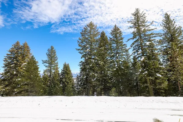 $598,000 | 5541 Lupine Lane, Unit 119, McCall, ID 83638