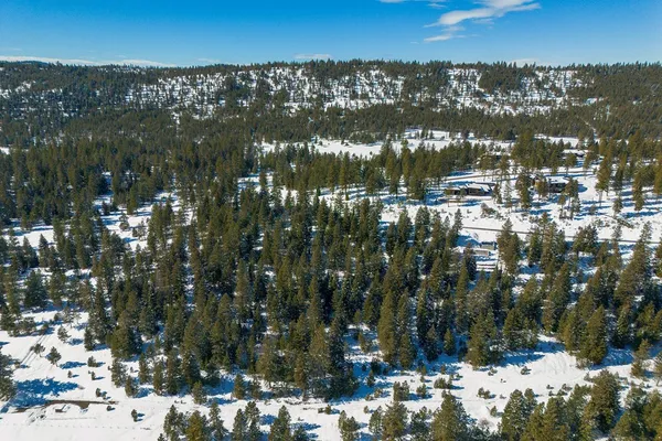 $598,000 | 5541 Lupine Lane, Unit 119, McCall, ID 83638