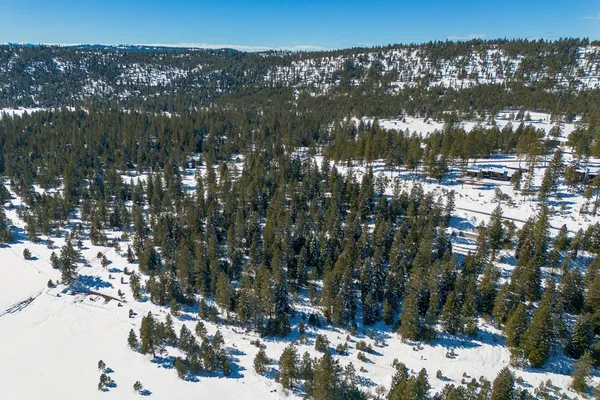 $598,000 | 5541 Lupine Lane, Unit 119, McCall, ID 83638