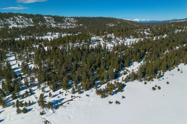 $598,000 | 5541 Lupine Lane, Unit 119, McCall, ID 83638