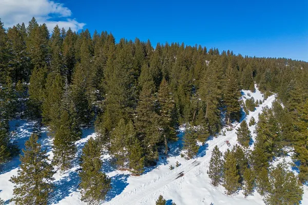 $598,000 | 5541 Lupine Lane, Unit 119, McCall, ID 83638