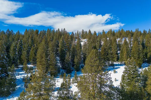 $598,000 | 5541 Lupine Lane, Unit 119, McCall, ID 83638