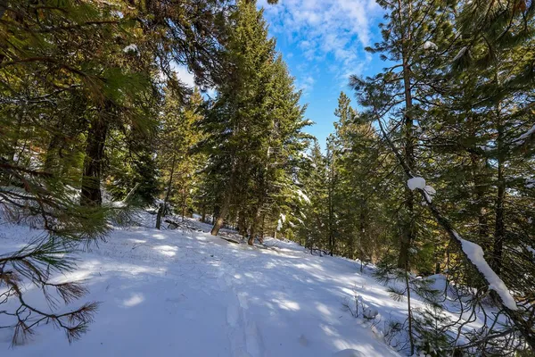 $598,000 | 5541 Lupine Lane, Unit 119, McCall, ID 83638