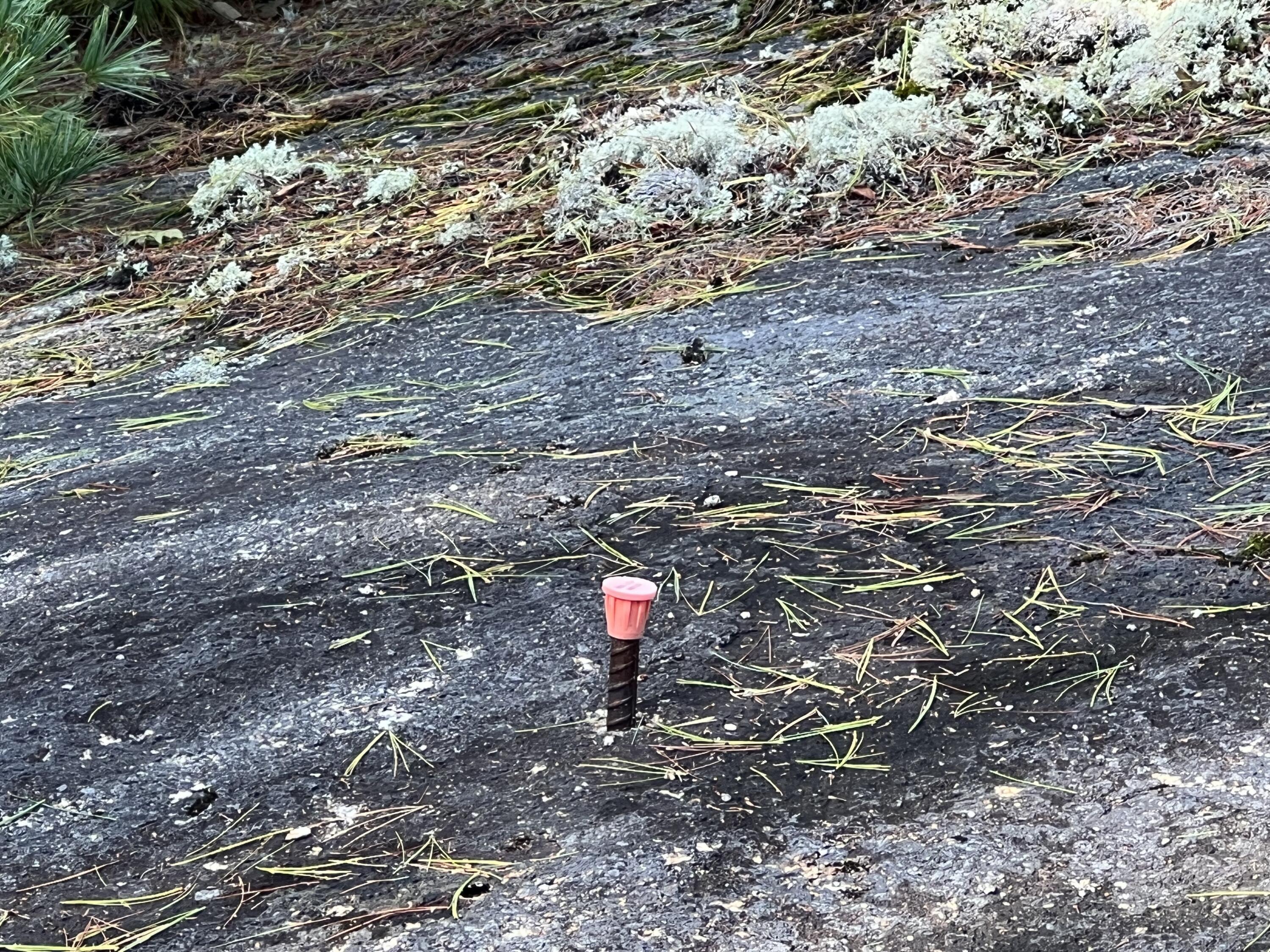 0 Blacks Woods Road Cherryfield, ME 04622 - Photo 12 of 12 survey pin
