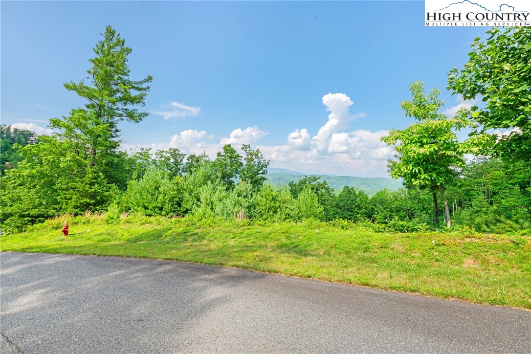 Lot 330 Pepperroot Road Boone, NC 28607 - Photo 2 of 16 a view of a yard with a house in the background