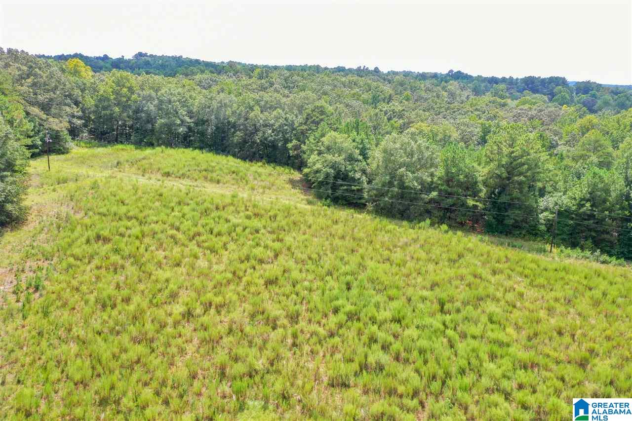 378 Old Mill Road Blountsville, AL 35031 - Photo 8 of 10