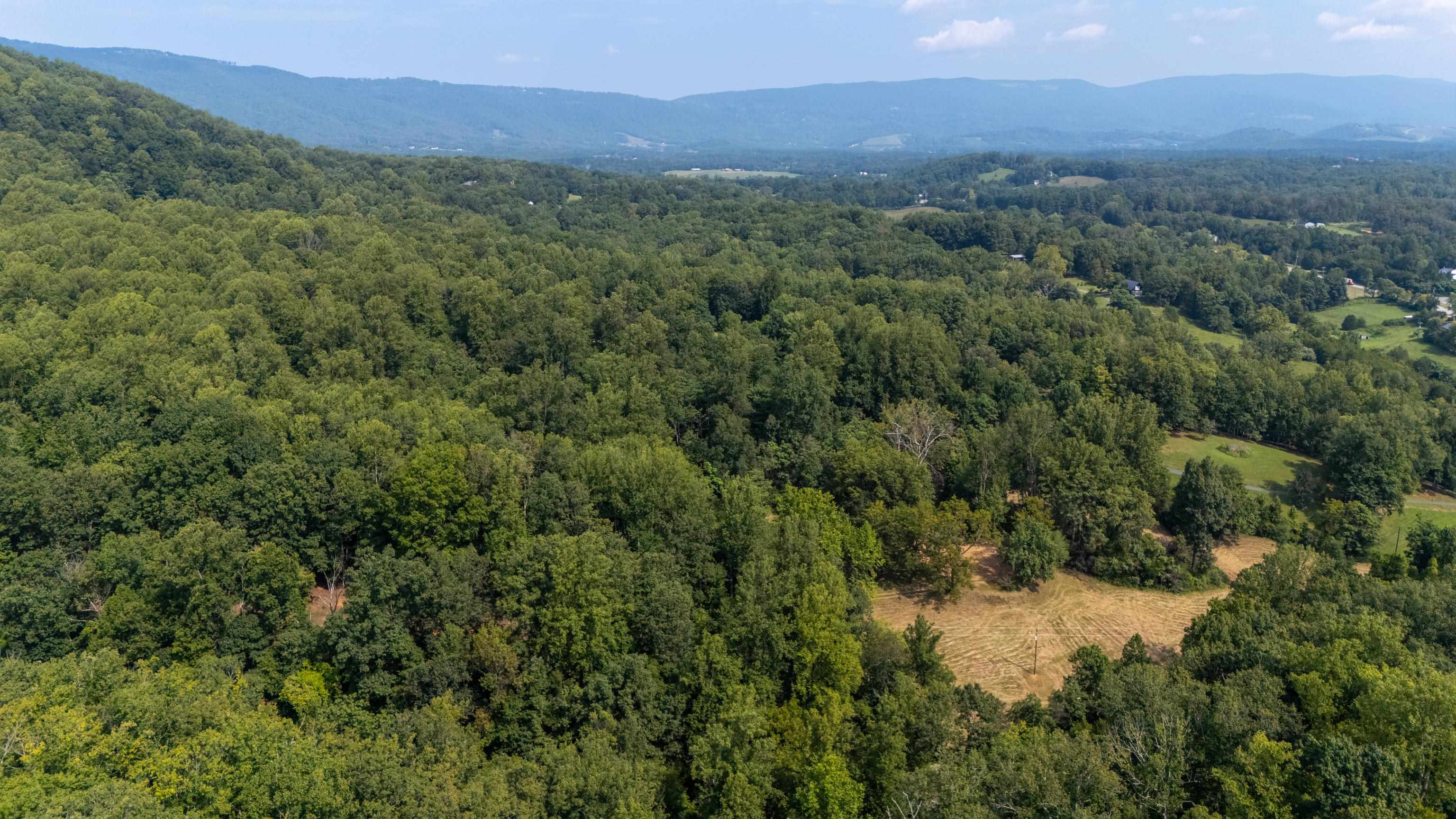 188 Pounding Branch Road Afton, VA 22920 - Photo 27 of 44 Gallery Image 27