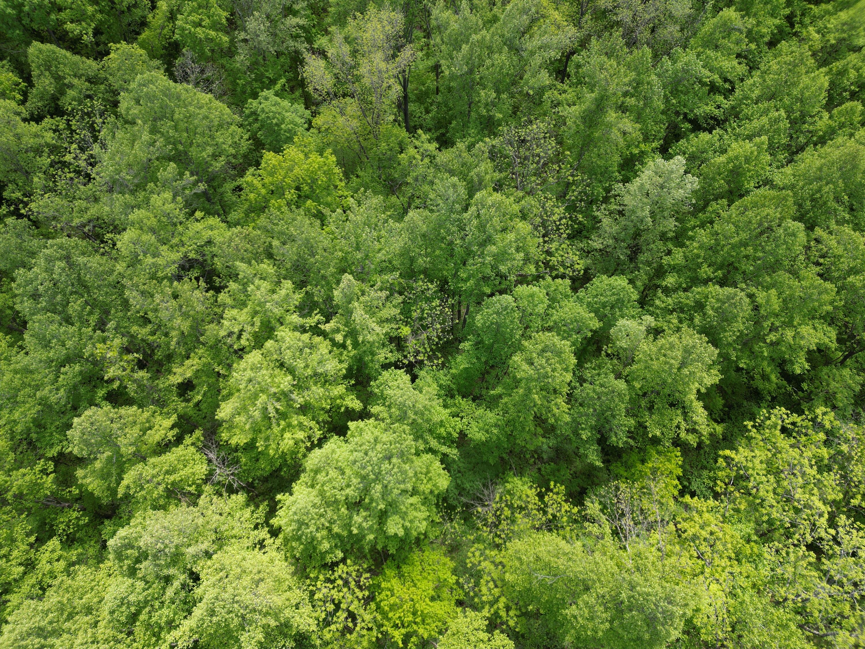 9999 Chestnut Flat Road McKee, KY 40447 - Photo 14 of 16 DJI_0959