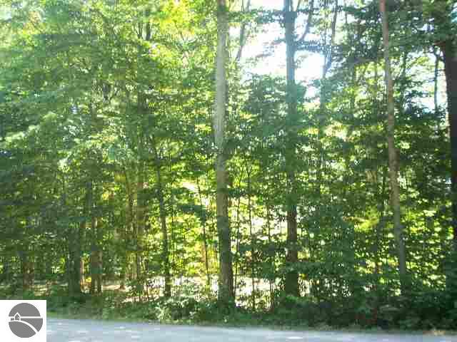 East Red Oak Court Cedar, MI 49621 - Photo 2 of 14 1816822-1.JPG