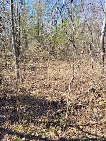 $400,000 | 0 Cowhorne Hollow Road, Prospect, TN 38477