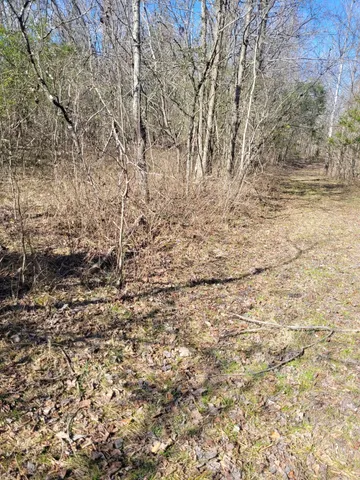 $400,000 | 0 Cowhorne Hollow Road, Prospect, TN 38477