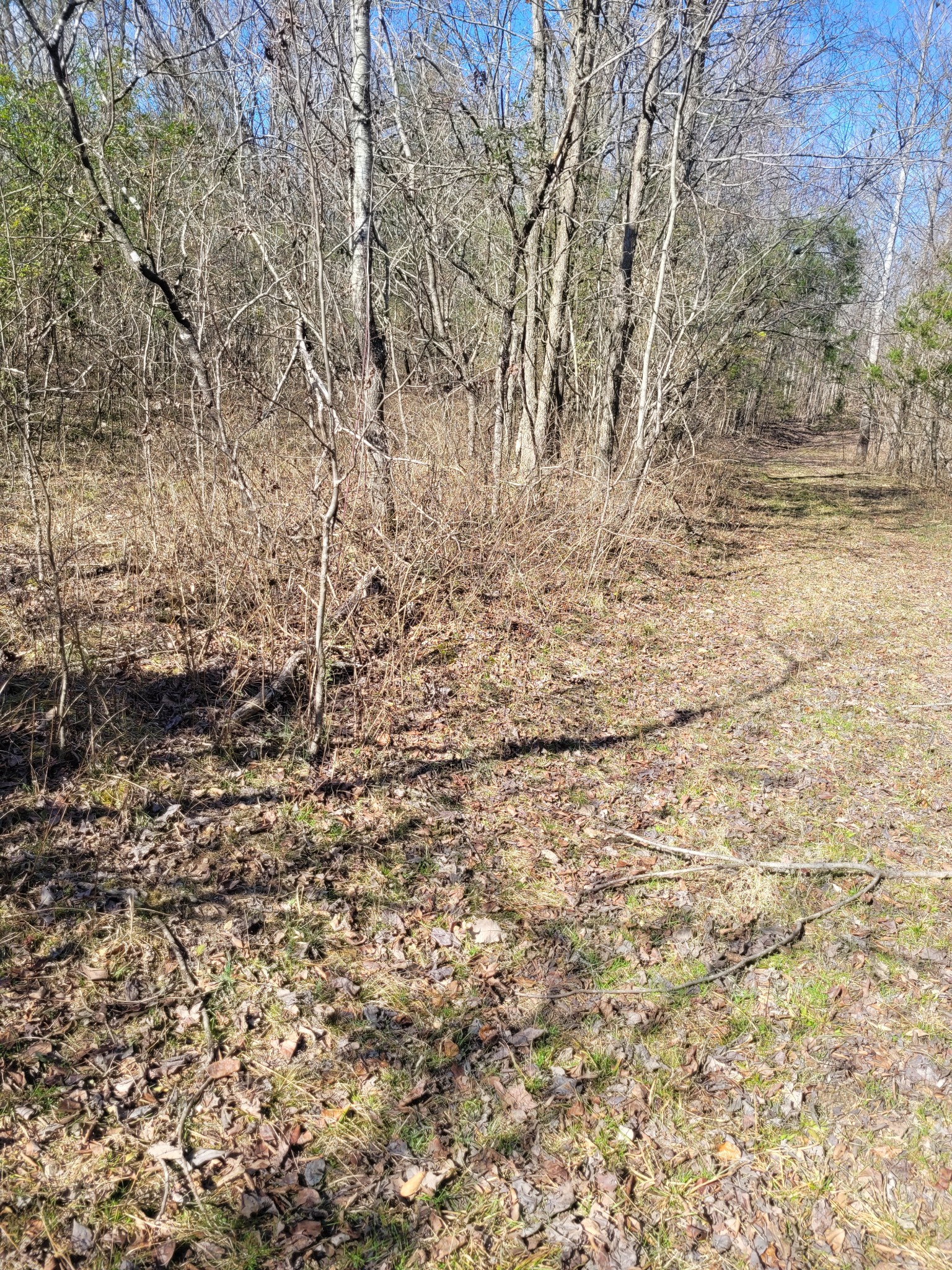 0 Cowhorne Hollow Road Prospect, TN 38477 - Photo 12 of 12