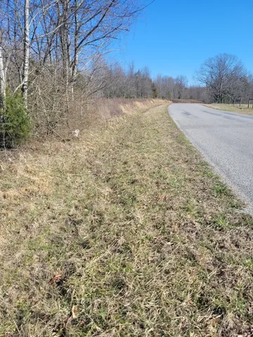 a view of a dry yard with trees