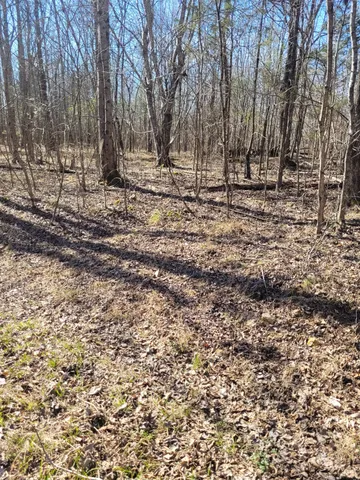 $400,000 | 0 Cowhorne Hollow Road, Prospect, TN 38477