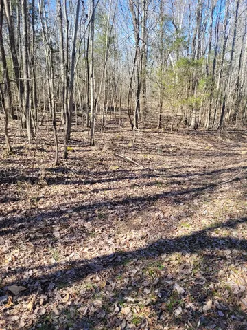 $400,000 | 0 Cowhorne Hollow Road, Prospect, TN 38477