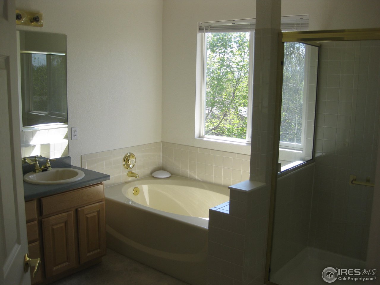 649 Rider Ridge Road Longmont, CO 80504 - Photo 16 of 17 Master Bath
