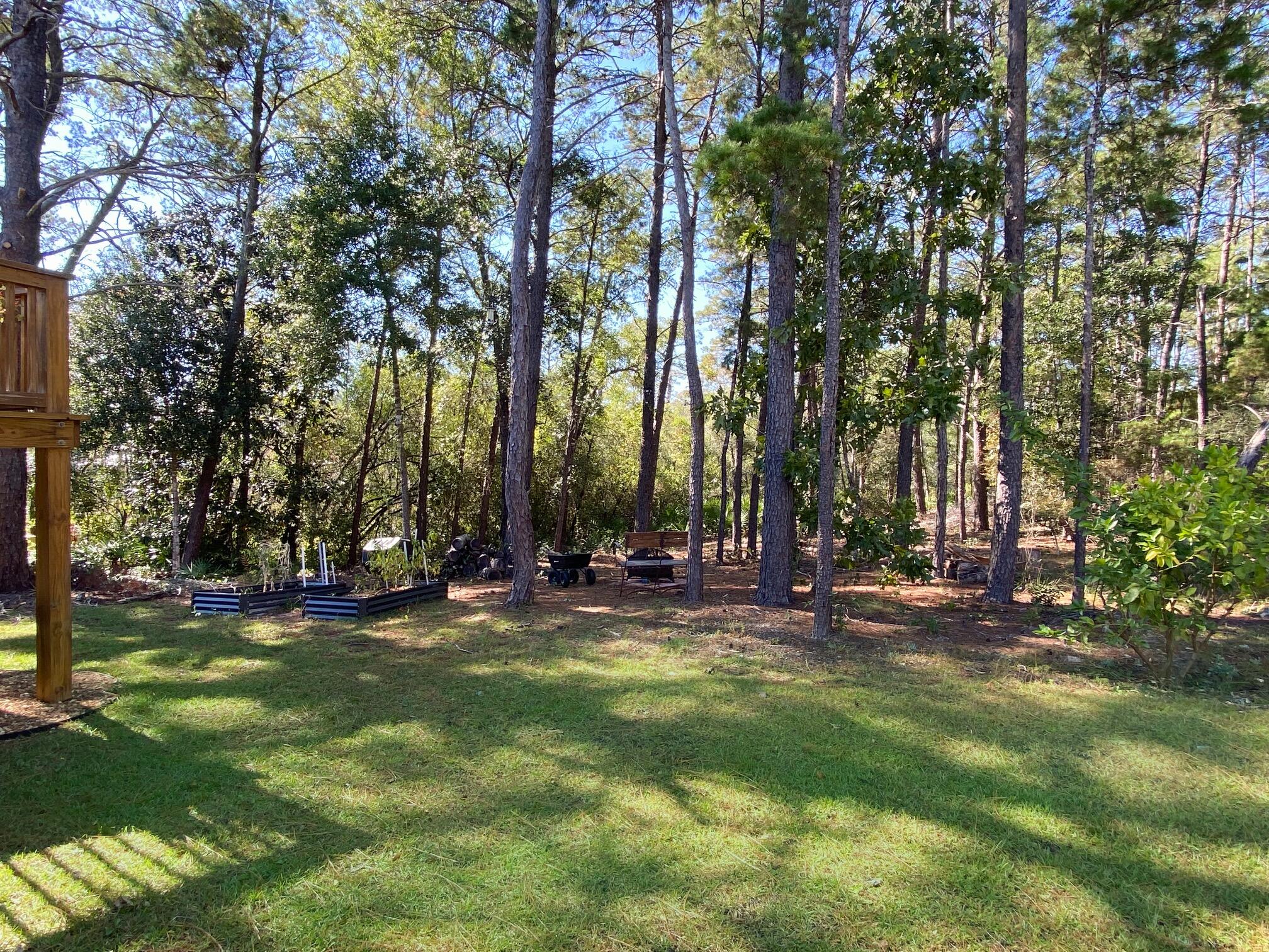 285 Maddox Street Santa Rosa Beach, FL 32459 - Photo 33 of 35 a view of a park with large trees