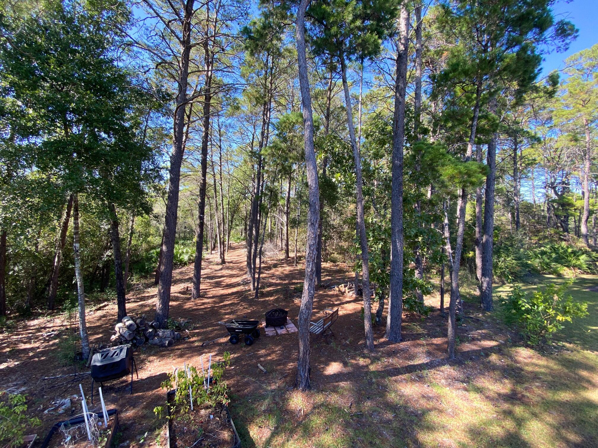 285 Maddox Street Santa Rosa Beach, FL 32459 - Photo 35 of 35 a backyard of a house with lots of green space