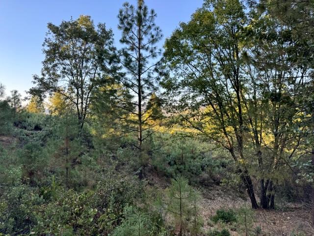 5809 Black Quartz Road Murphys, CA 95247 - Photo 2 of 4 Gallery Image 2