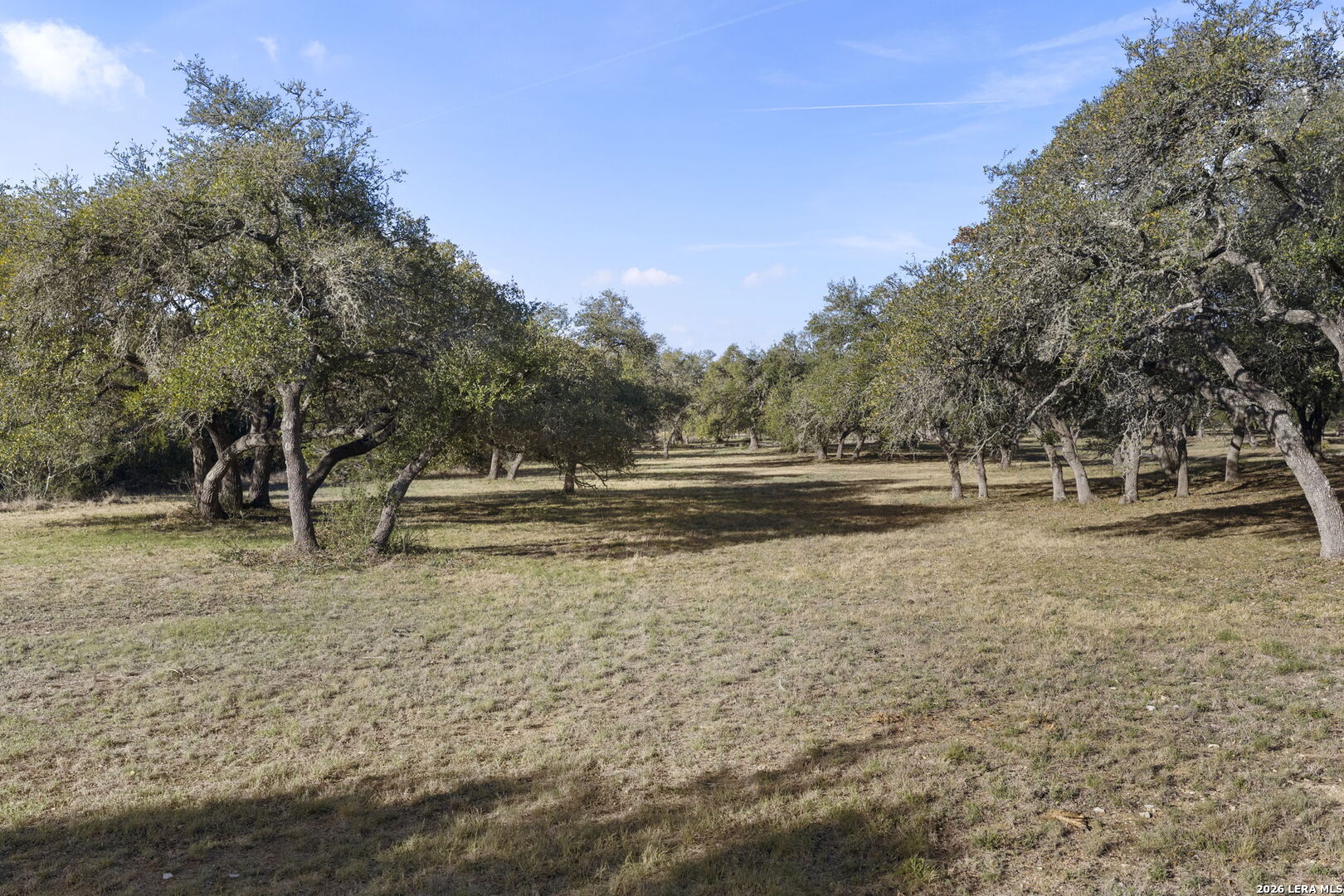 6093 Fm 311 Spring Branch, TX 78070 - Photo 41 of 47