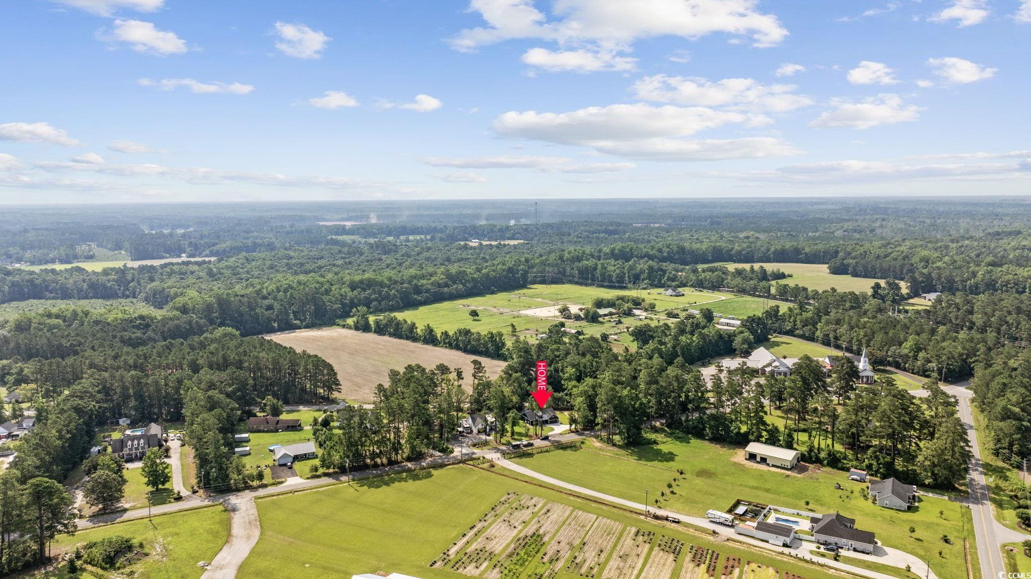 4446 Boggy Road Conway, SC 29526 - Photo 24 of 25 View of rural area with a forest
