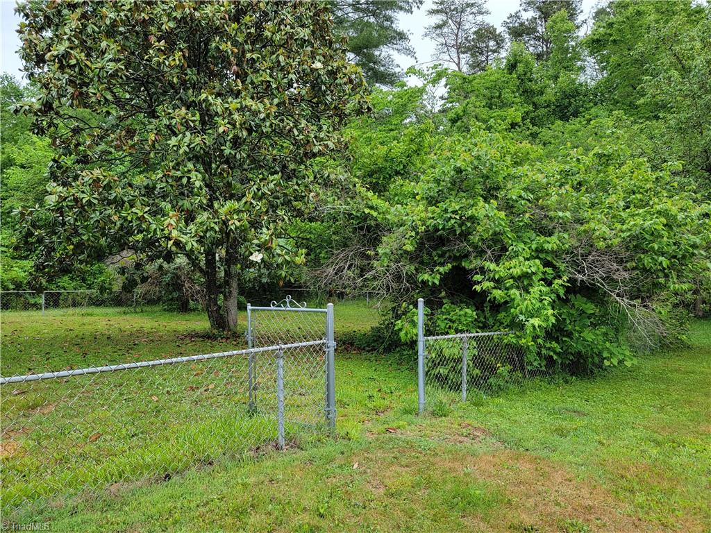 744 Stokesburg Road Walnut Cove, NC 27052 - Photo 36 of 41 Back yard