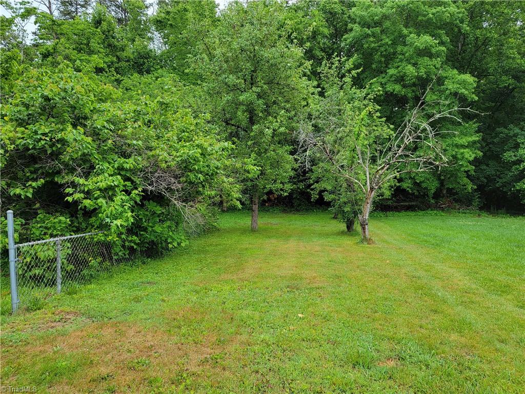 744 Stokesburg Road Walnut Cove, NC 27052 - Photo 37 of 41 Back yard on right side
