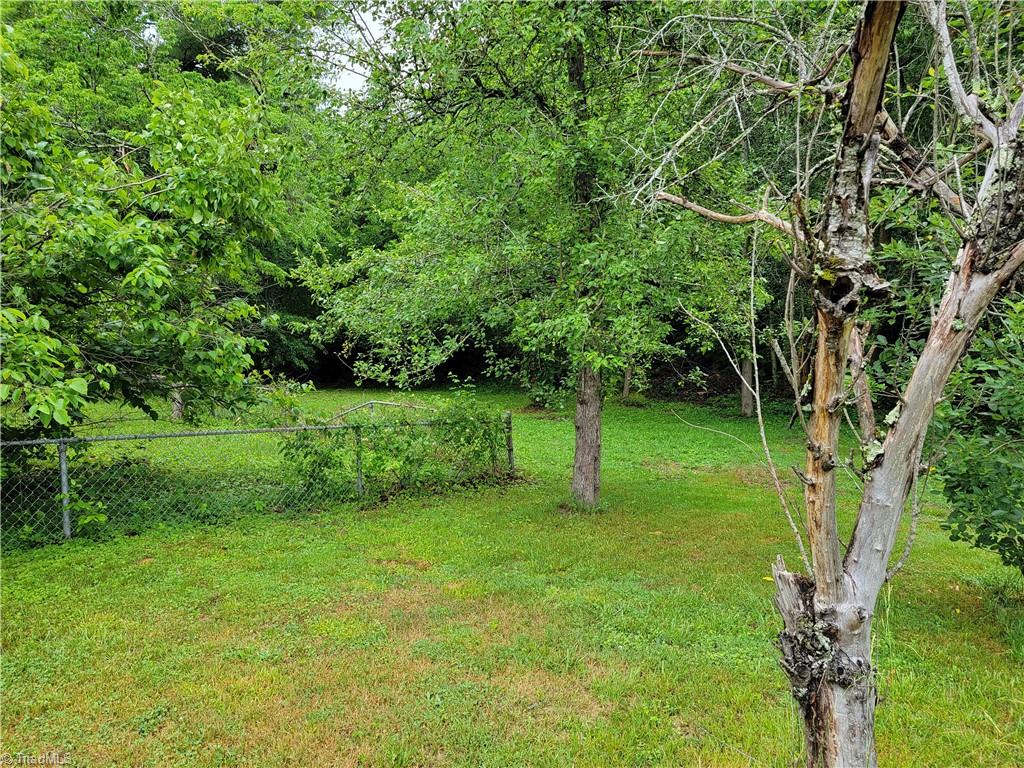 744 Stokesburg Road Walnut Cove, NC 27052 - Photo 38 of 41 Back yard