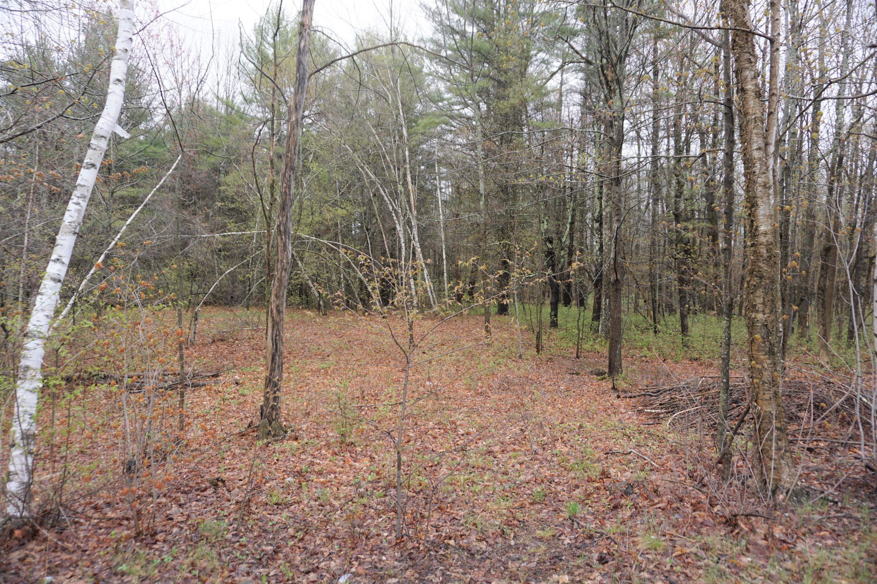 Tbd Litchfield Road Bowdoin, ME 04287 - Photo 9 of 15 7