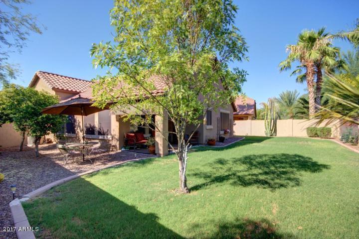 4083 East Rustler Way Gilbert, AZ 85297 - Photo 23 of 47 Large Play Yard