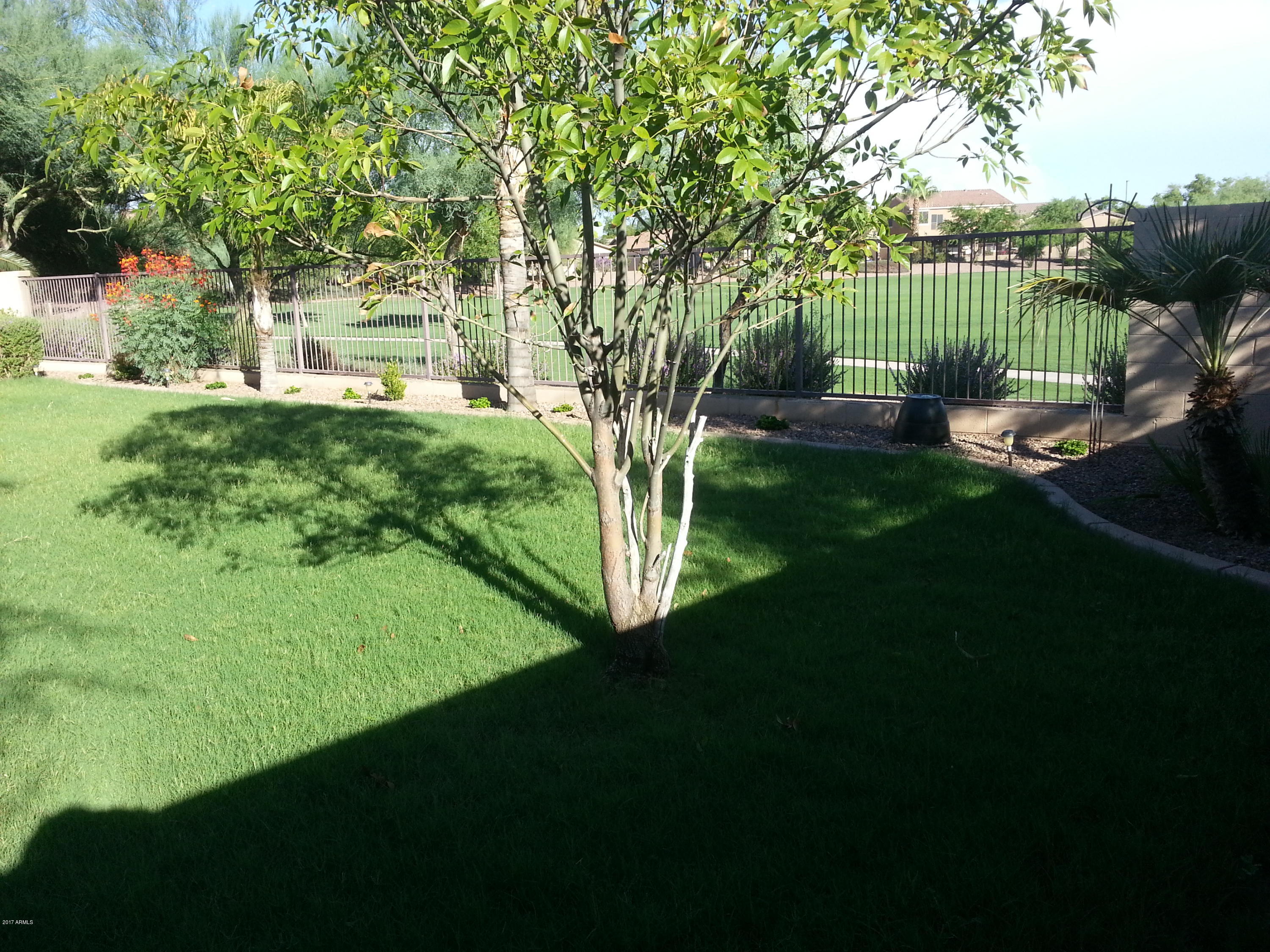 4083 East Rustler Way Gilbert, AZ 85297 - Photo 26 of 47 Shadey Backyard