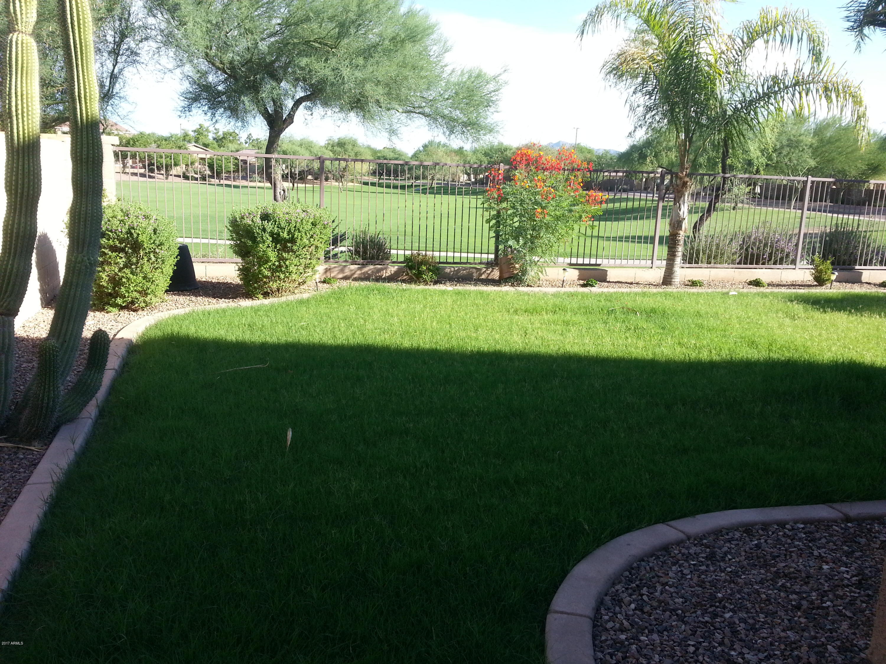 4083 East Rustler Way Gilbert, AZ 85297 - Photo 4 of 47 Grass Backyard