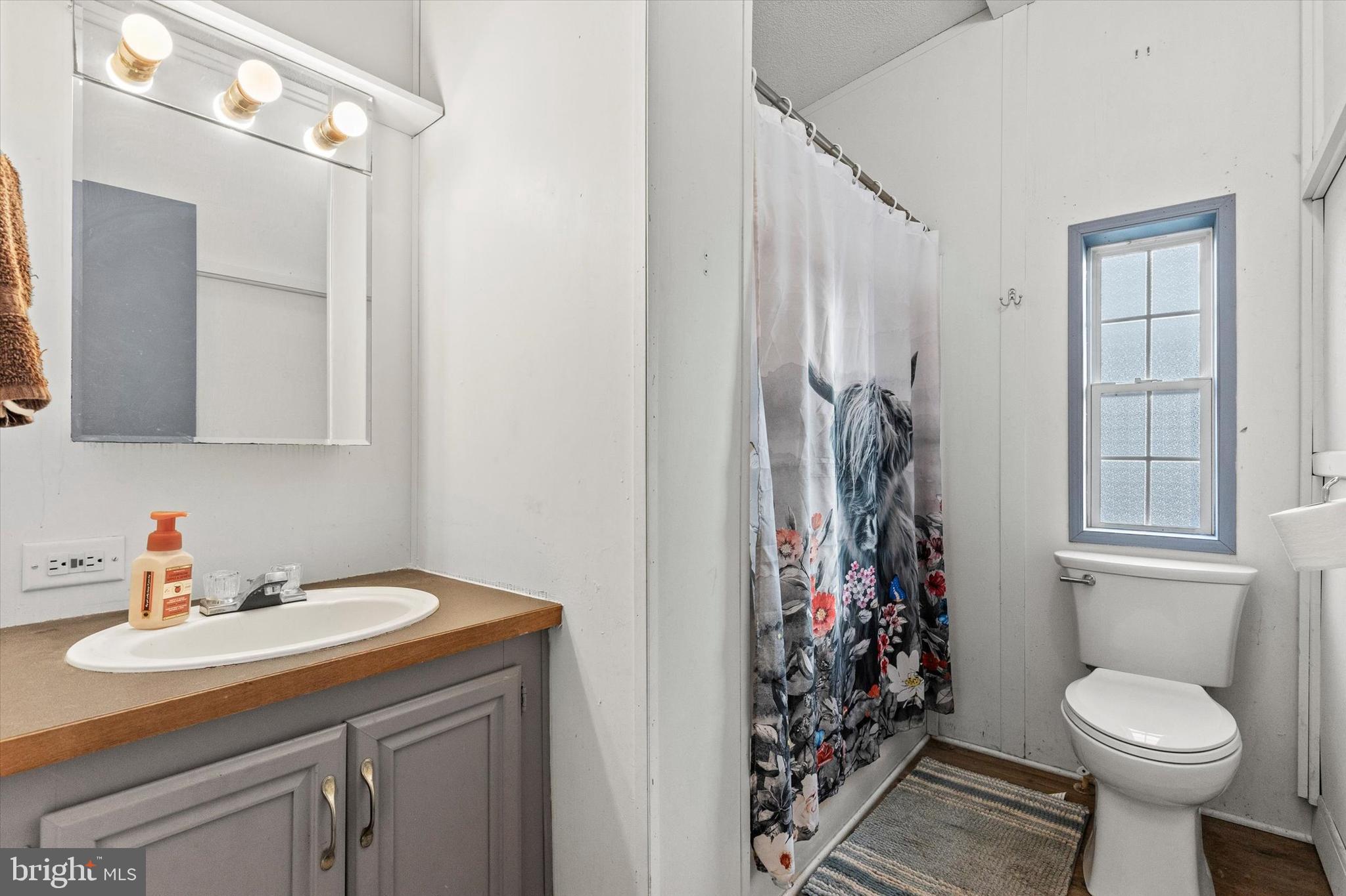 14 Junction Road Millersburg, PA 17061 - Photo 13 of 23 a bathroom with a sink toilet and shower