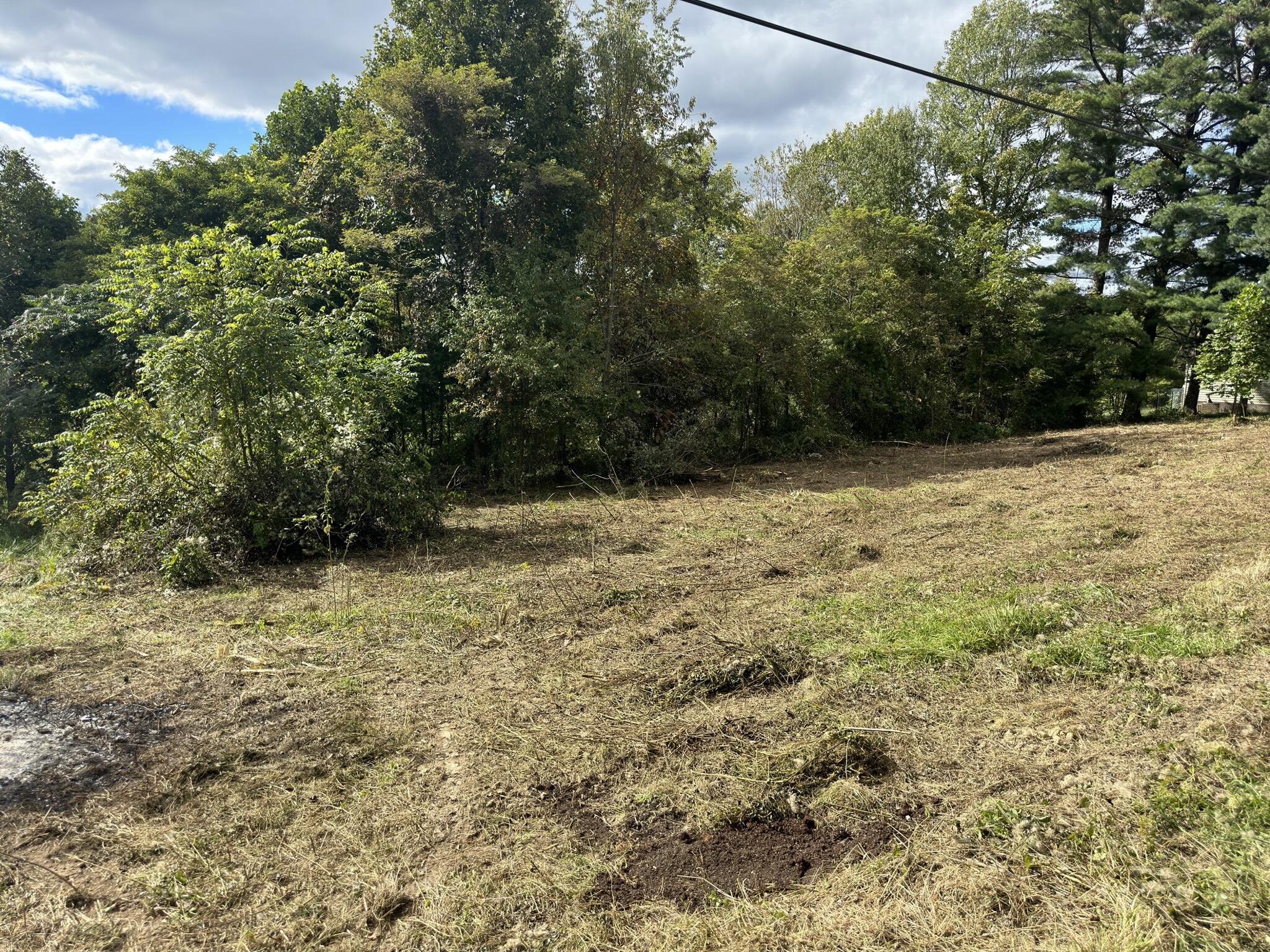 2433 East Hazel Mountain Road Dante, VA 24237 - Photo 5 of 20 8DA80A1D-AB05-4B6E-B8EB-BB2C7A6BD6F1