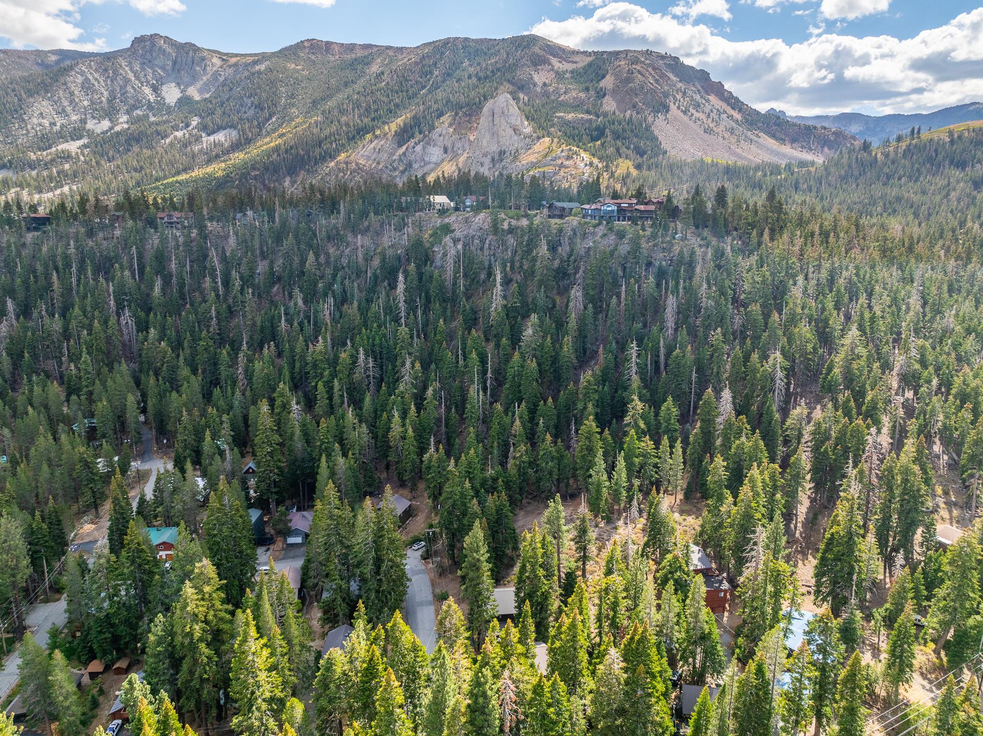 62 Cliff Circle Mammoth Lakes, CA 93546 - Photo 44 of 45 a view of a lush green forest with mountains in the background