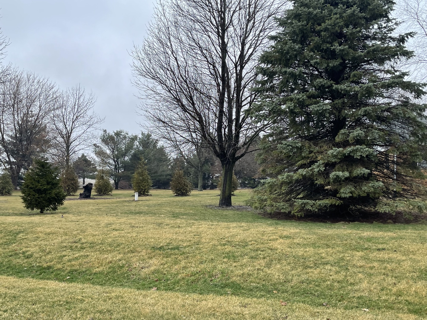 811 North 38th Road Mendota, IL 61342 - Photo 4 of 27 a backyard of a house with lots of green space