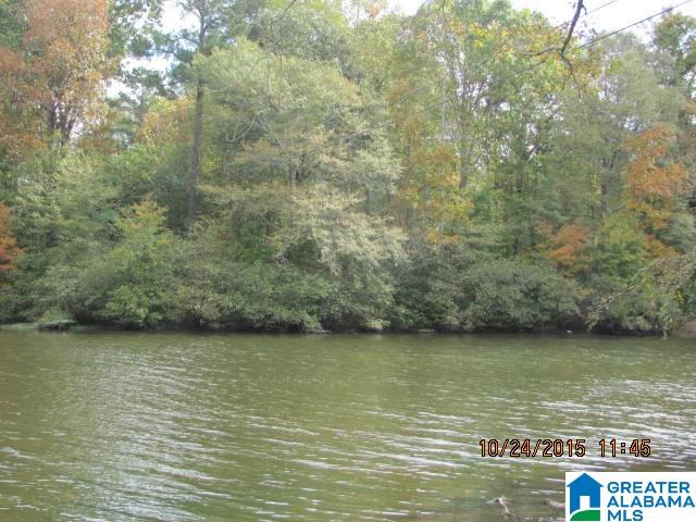 0 Lake Tate Road, Unit 38 Sylacauga, AL 35151 - Photo 8 of 11