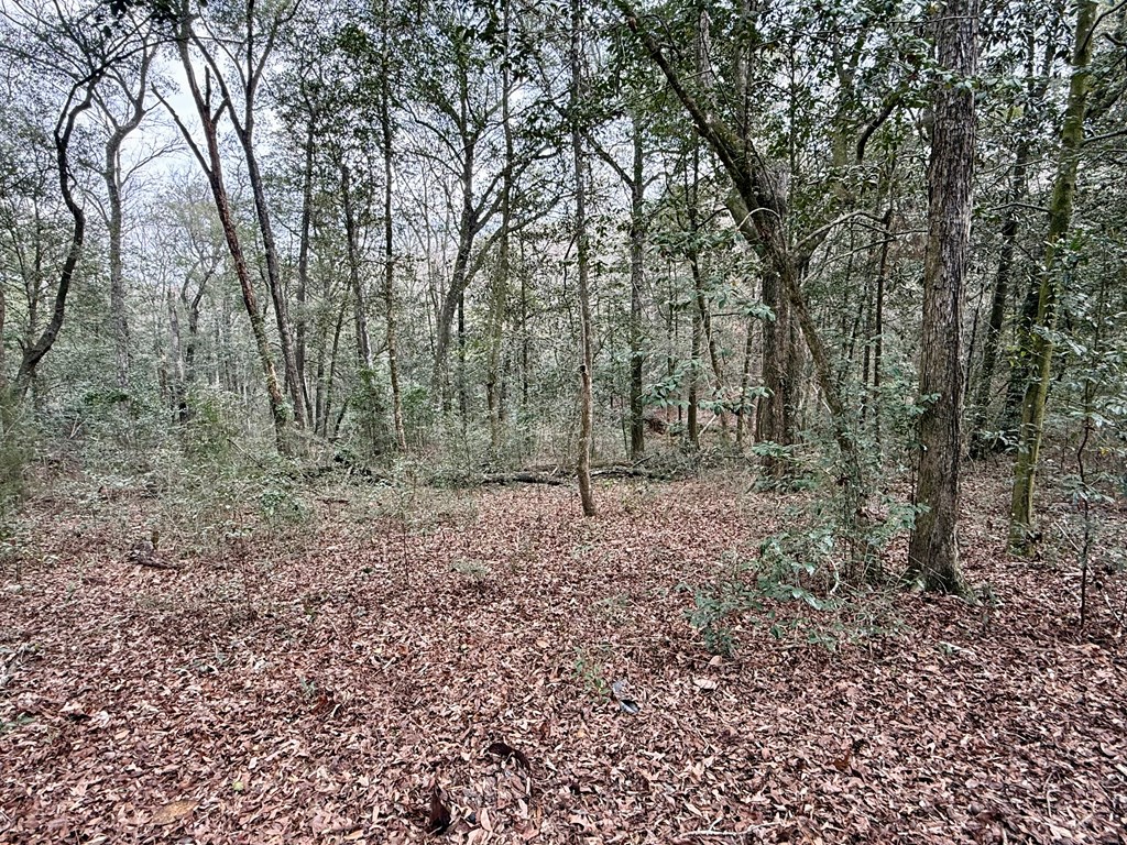 836 Campbell Road Hartford, AL 36344 - Photo 36 of 41