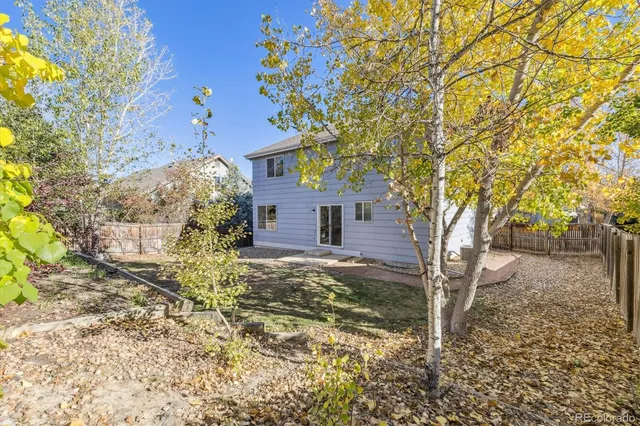 a tree in the middle of a yard