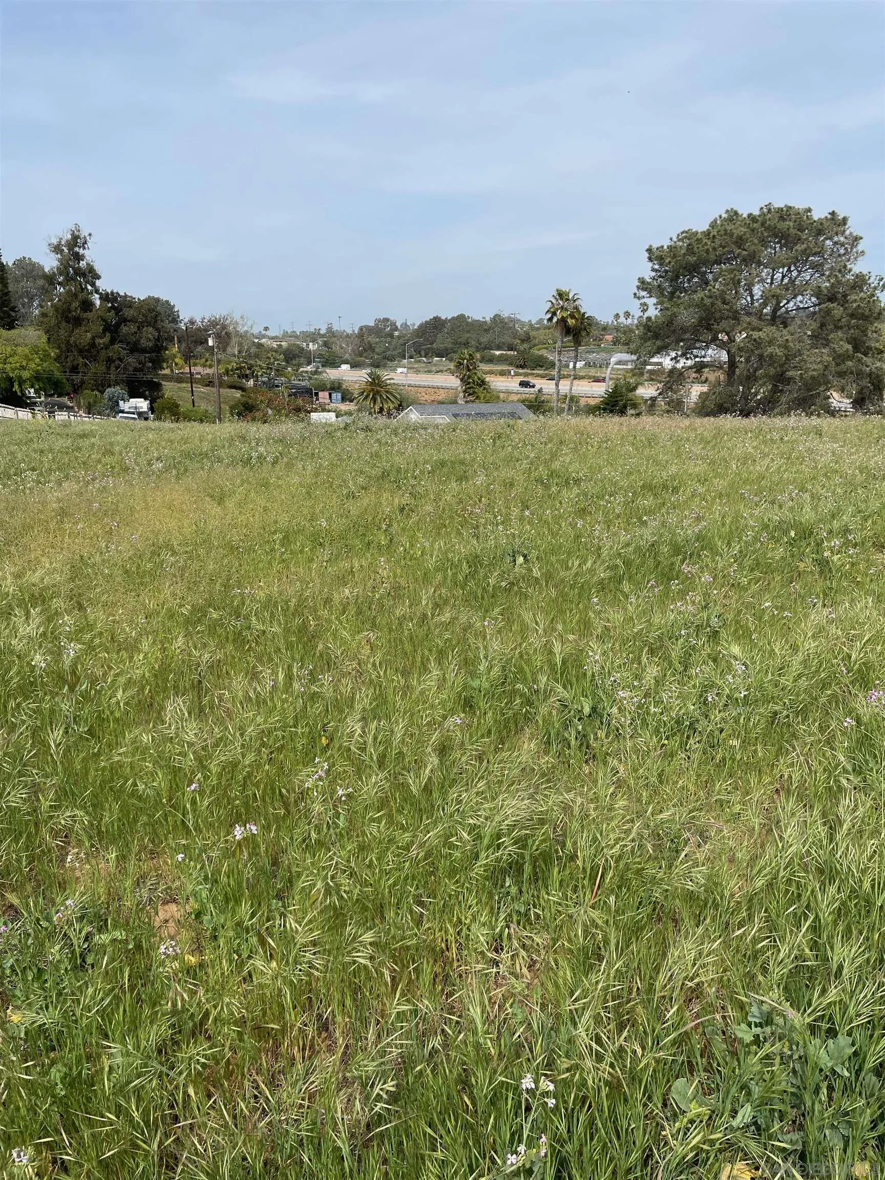 461 Ocean View Avenue, Unit 2 Encinitas, CA 92024 - Photo 14 of 25 a view of a field with an ocean