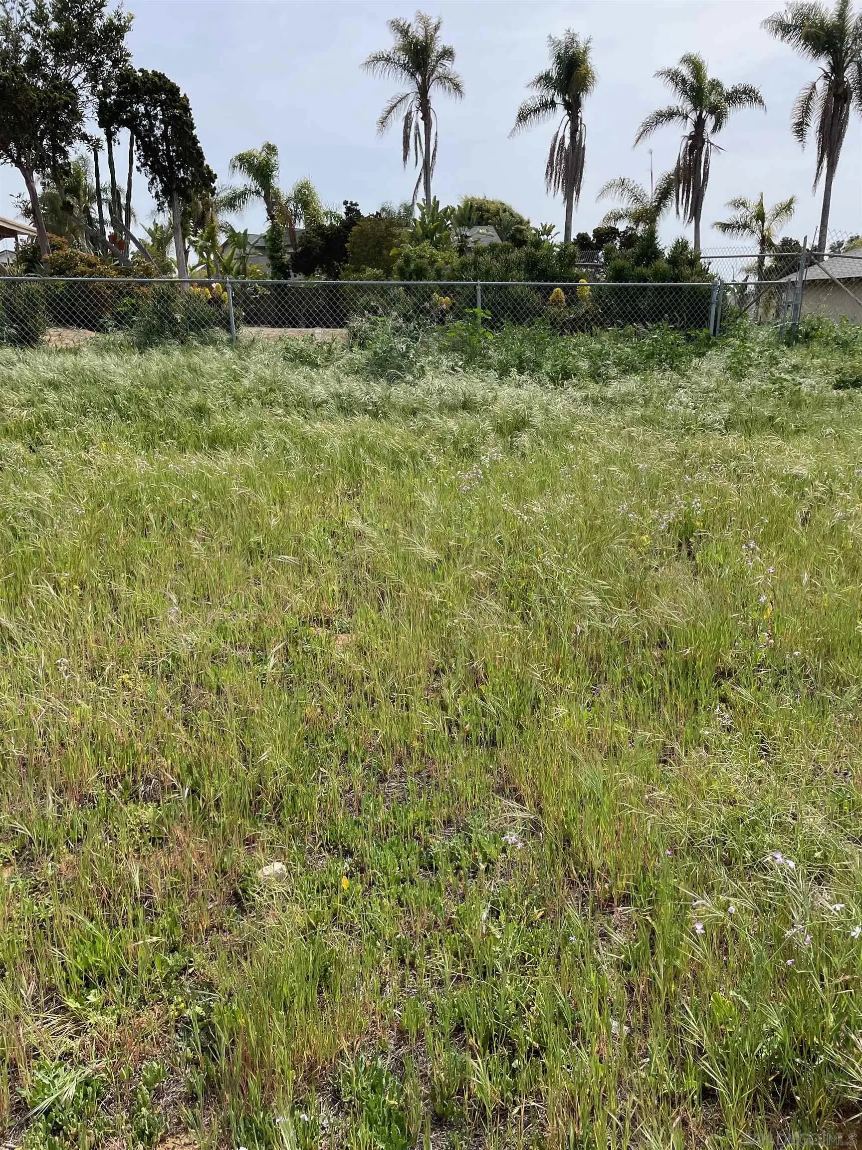 461 Ocean View Avenue, Unit 2 Encinitas, CA 92024 - Photo 24 of 25 a view of a yard