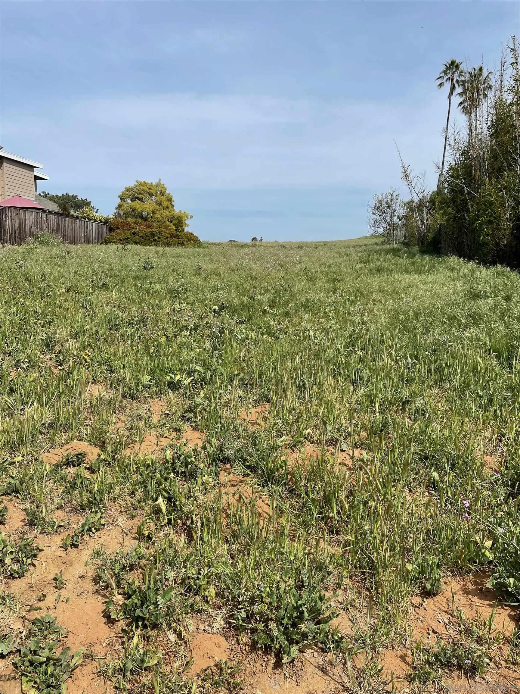 461 Ocean View Avenue, Unit 2 Encinitas, CA 92024 - Photo 5 of 25 a view of a field with an ocean and trees