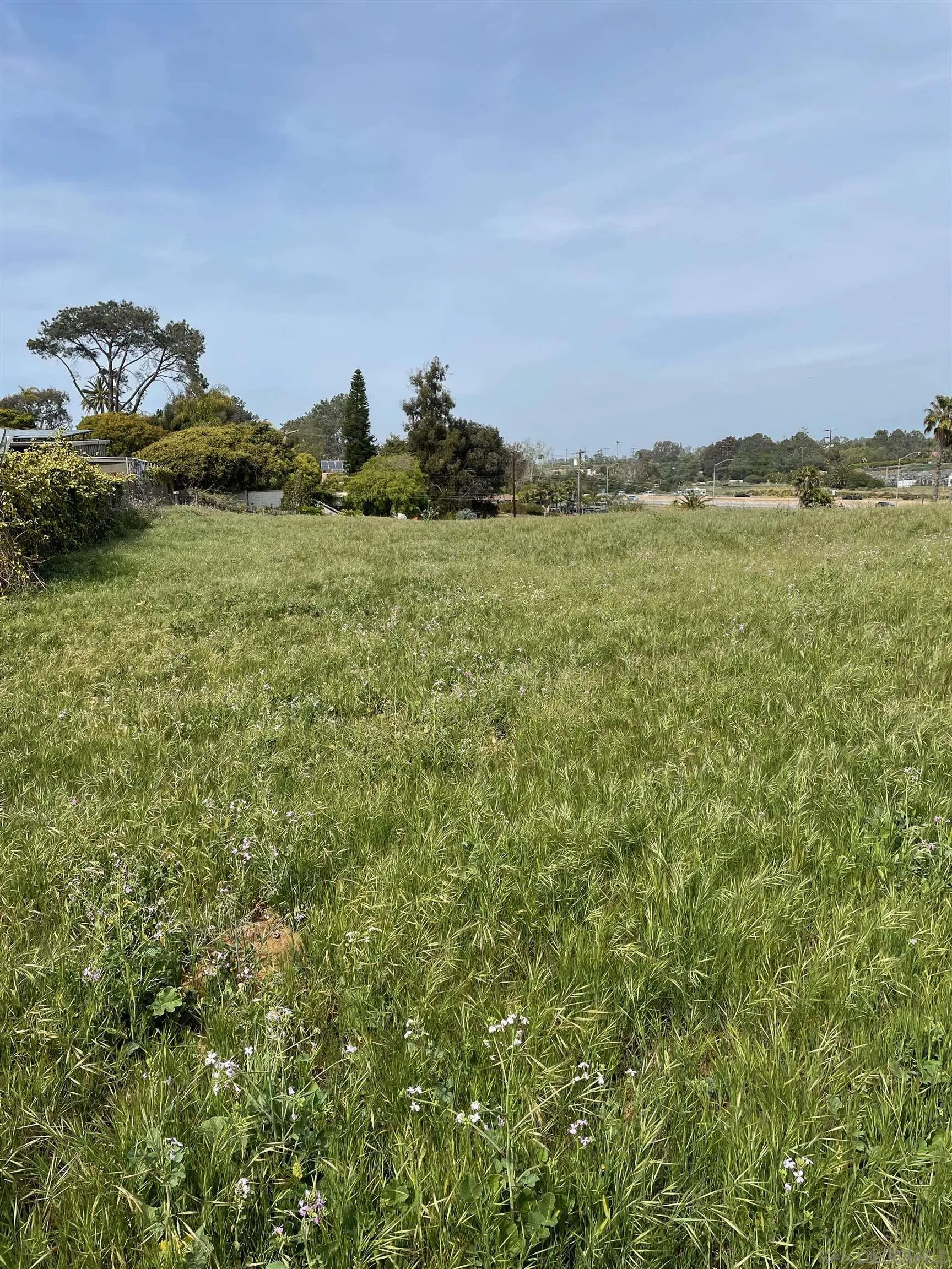 461 Ocean View Avenue, Unit 2 Encinitas, CA 92024 - Photo 9 of 25 a view of a lake with a building in the background