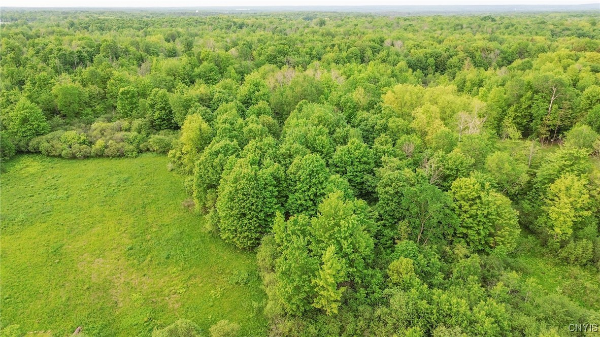 Halsey Rd Road Pulaski, NY 13142 - Photo 10 of 11