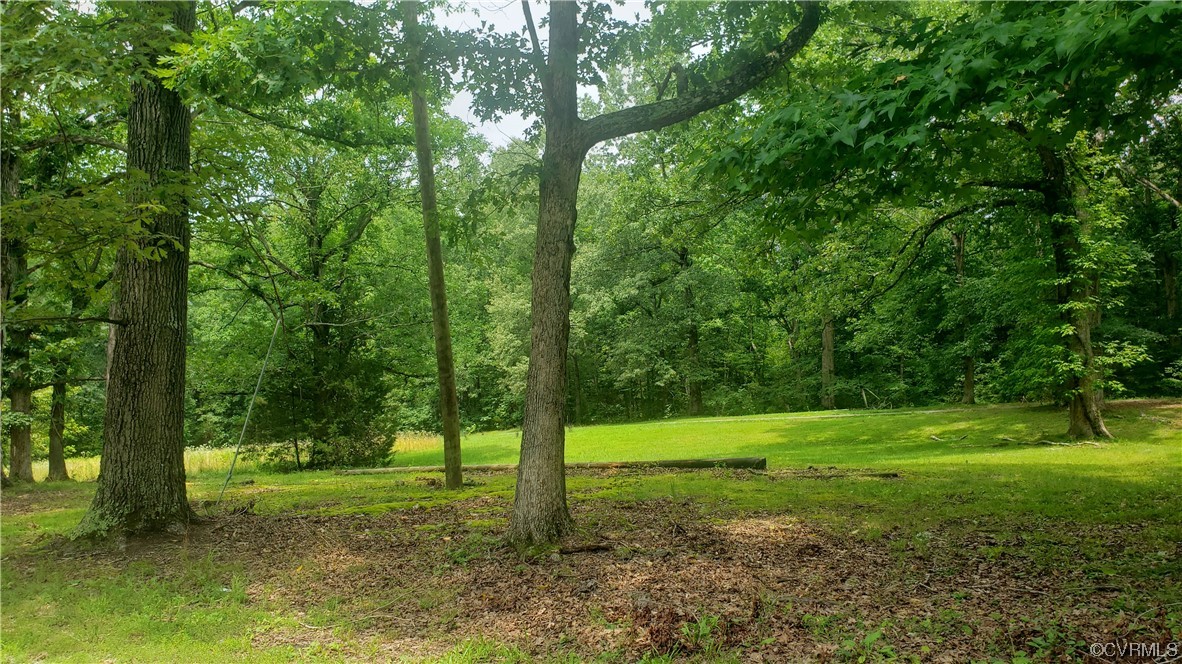 164 Gully Tavern Road Rice, VA 23966 - Photo 18 of 18 Gallery Image 18