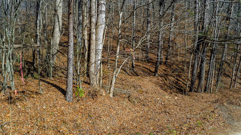 a view of wooden fence