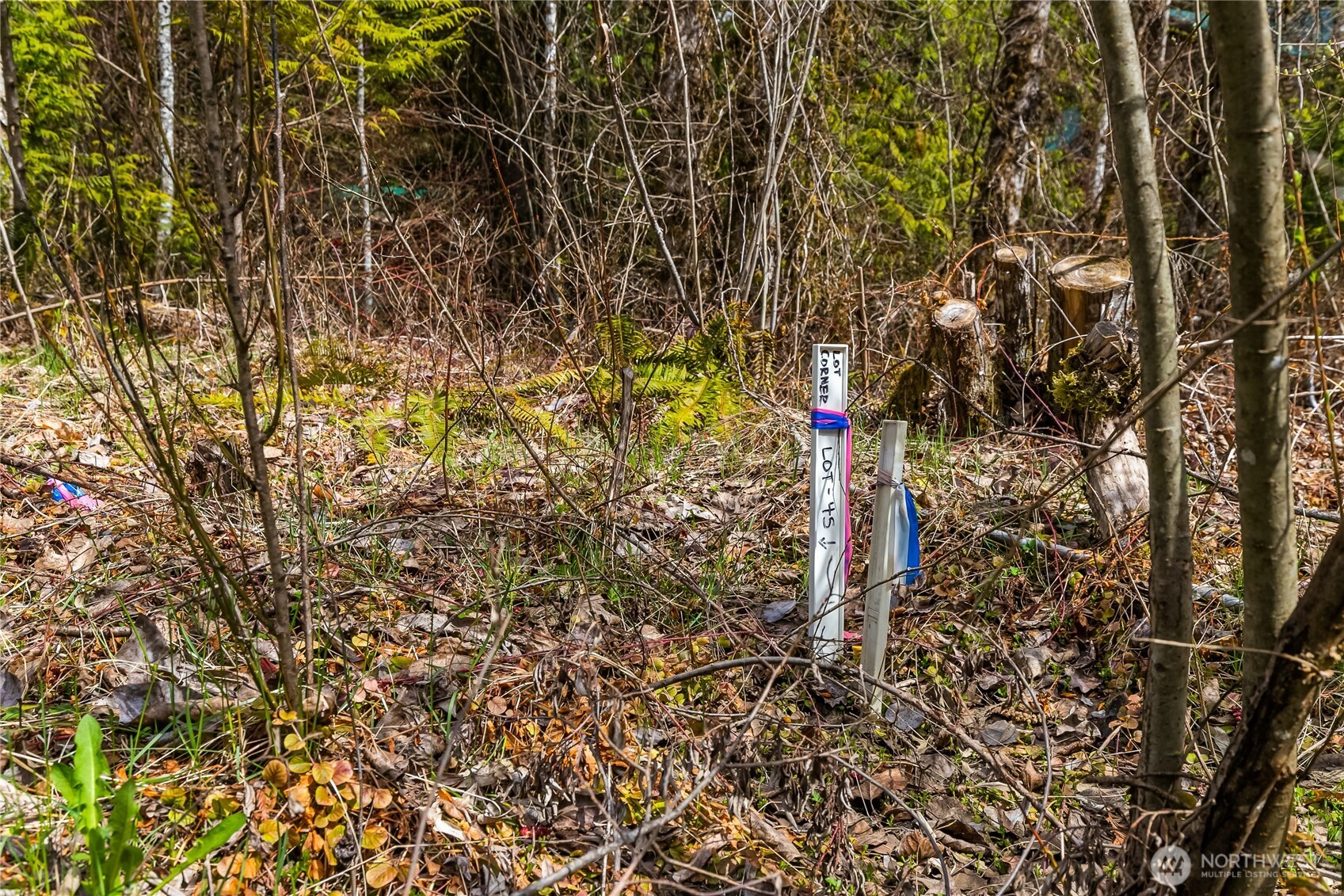 17045 Iceberg Road Glacier, WA 98244 - Photo 3 of 20