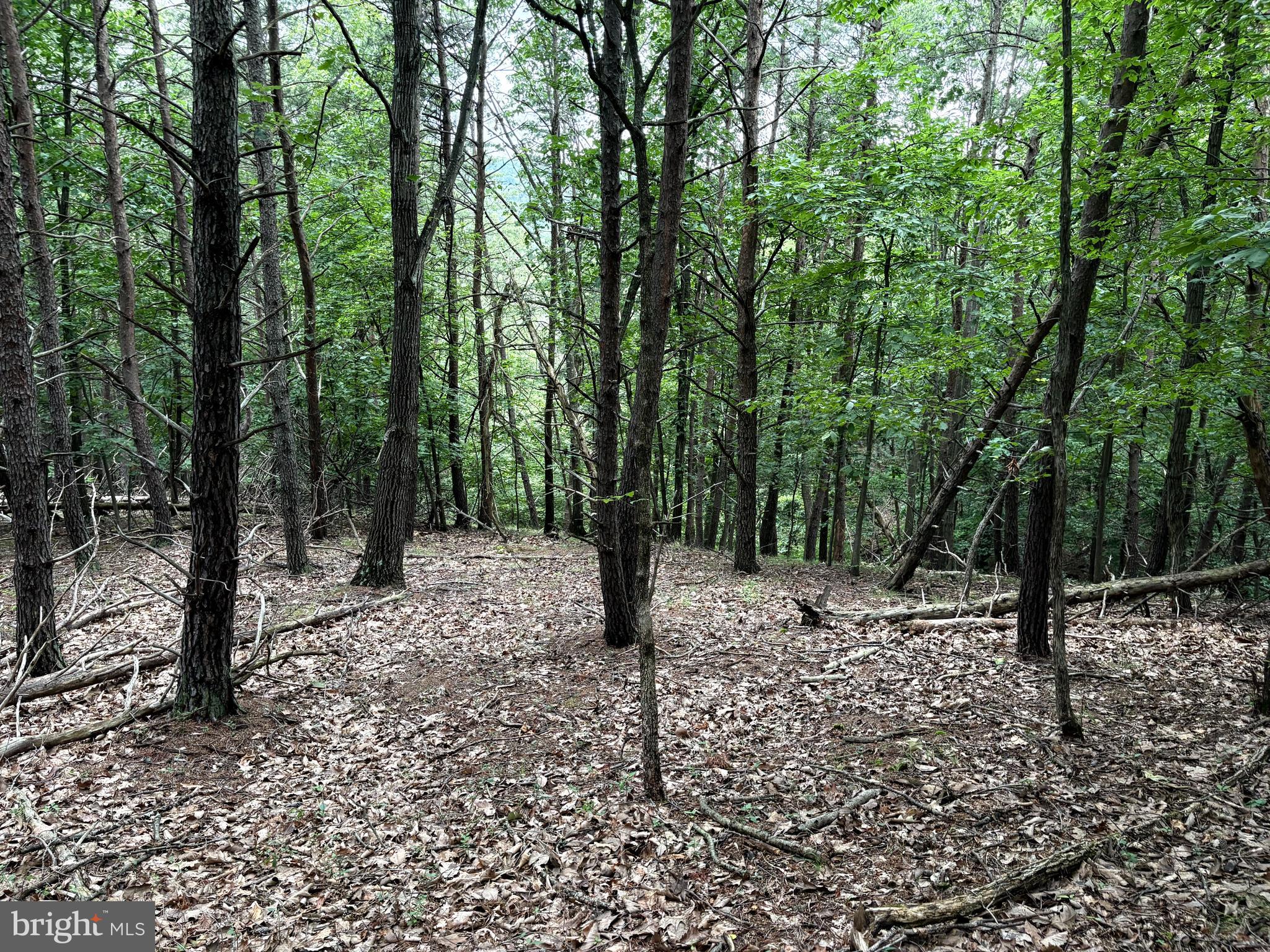 Lot 126 Bluffs Blue Beach Road Springfield, WV 26763 - Photo 11 of 20