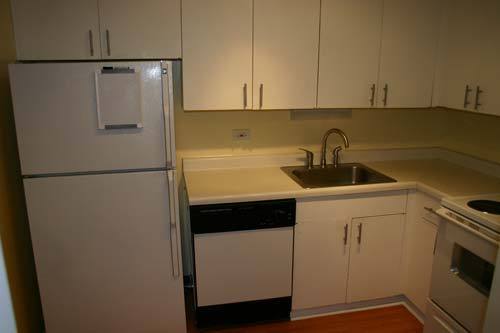 655 West Irving Park Road, Unit 5209 Chicago, IL 60613 - Photo 7 of 15 a kitchen with a refrigerator and a sink